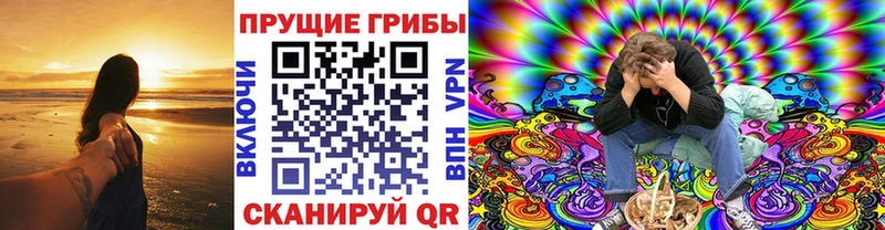 blacksprut ТОР  Талдом  Псилоцибиновые грибы MAGIC MUSHROOMS 